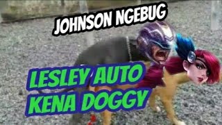Bug Johnson Tergokil...
