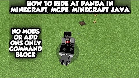 How to ride at panda in minecraft