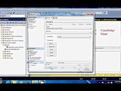 SQL Server DBA - Update table using SQL Server Agent (English)