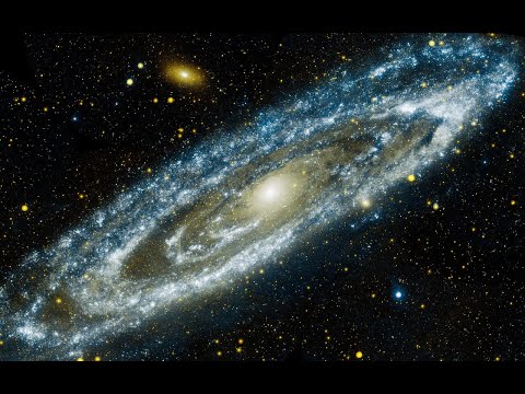 ცოცხალი კოსმოსი და მეტა ღვთაებრივი პრინციპი