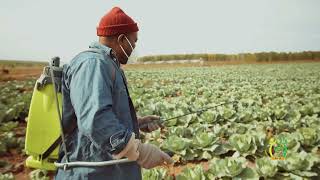 Food Safety is a shared RESPONSIBILITY!