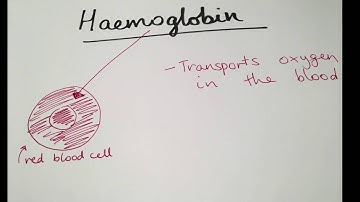 Diffuse Optical Imaging