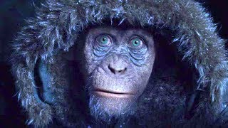 バッドエイプ！と人間に呼ばれたけど、実は愛されキャラ!?／映画『猿の惑星：聖戦記グレート・ウォー』“バッド・エイプ”特別映像