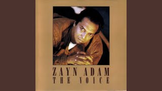 Video thumbnail of "Zayn Adam - Give a Little Love"