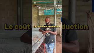 Comment Dmarrer Un Projet Dlevage De Lapin Rentable Partie1