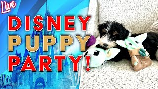 🔴LIVE: What was supposed to be a halloween party but turned into a disney doggie party lol