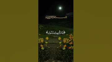 إنا نحن نزلنا الذكر وإنا له لحافظون /قرآن كريم من سورة الحجر  هزاع البلوشي #قرآن_كريم #حالات_واتس