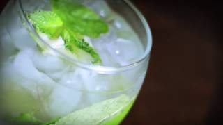 How to Make a Vodka Tonic screenshot 3