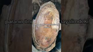 Download Lagu @athenawq777. #arkeologi #arkeolog #kesfet #kesfet #tiktok #reels #bpwkpp #youtubeshorts MP3