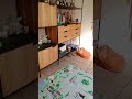 2fps