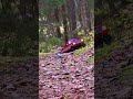 Chevy K10 forest adventures #rc #automobile #rccar #offroad #rctoys #rccrawler