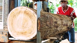 the process of sawing acacia wood into thick and good blocks and boards // sawmill factory