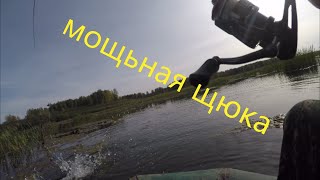 ЭТА ЩЮКА ОТОРВАЛА БЛЕСНУ!!!!РЫБАЛКА НА СПИННИНГ НА МАЛЕНЬКОМ ОЗЕРЕ.