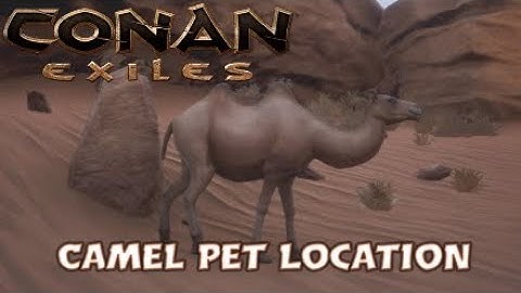 Camel Pet Location - Conan Exiles