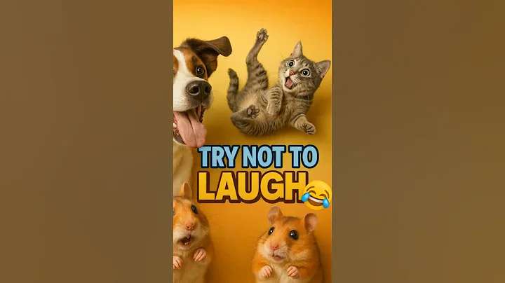 Video 11878361: best funny animals compilation, hilarious pet, cat cute love