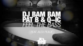 DJ Bam Bam, Pat B & Q-ic feat. Alex Peace - Feel The Bass
