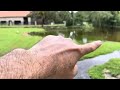 Were my dreams of how my property would be affected by hurricane accurate? Front yard?