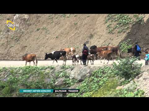 MEHMET ABİ'NİN GÜNLÜĞÜ - BAYBURT / ŞALPAZARI TRABZON - 35. BÖLÜM