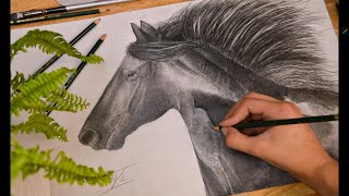HYPERREALISTIC HORSE DRAWING || TIMELAPSE #asmr #art