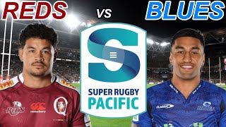 REDS vs BLUES Super Rugby Pacific 2024 Live Commentary