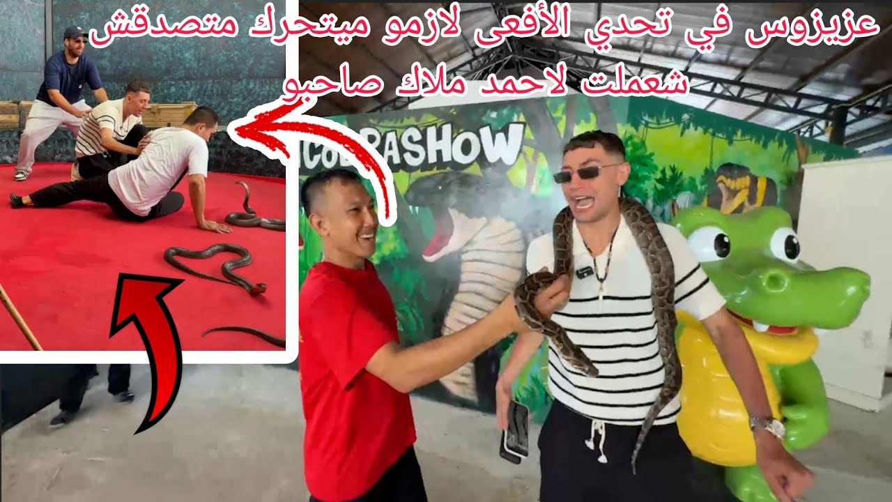 عزيزوس في تحدي الأفعى لازمو ميتحرك متصدقش شعملت لاحمد ملاك صاحبو😥🇹🇭 azizos Thaïlande ♥️