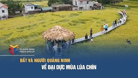Về Đại Dực mùa lúa chín