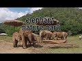 Santuario de ELEFANTES 🐘 🌴 Chiang Mai. Una excursión obligatoria.