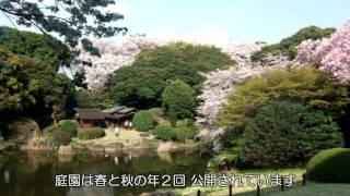 東京国立博物館 - 庭園と茶室