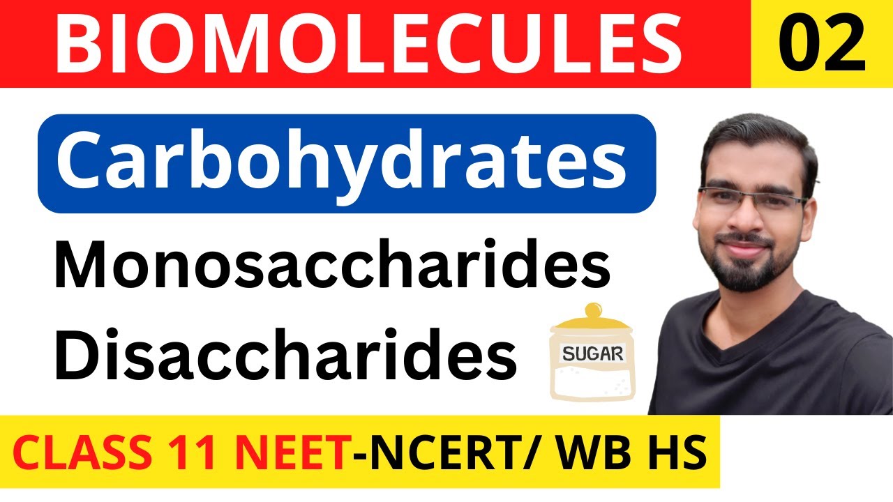 Biomolecules 02 Carbohydrates Mono/Disaccharides in Bengali