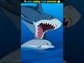 Why Sharks Fear Dolphins 😱🦈