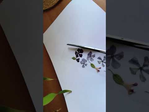 DIY | journal