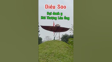 Diều sáo trưng bày tại khu vực nhà thờ Hải  Thượng Lãn Ông #changdumuc #haithuonglanong #lehuutrac