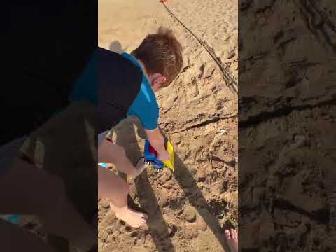 אור מור עדן אמא ואבא טישאור בים 27 9 25 