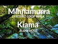 Minnamurra Lyrebird Loop Walk | Kiama Blow Hole