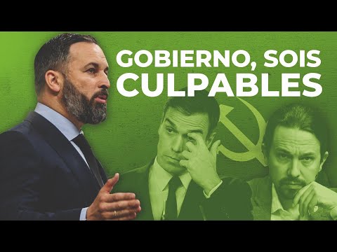 Santiago Abascal acusa al Gobierno: "Sois culpables"