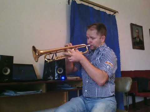 "A Media Luz". Trumpet cover.