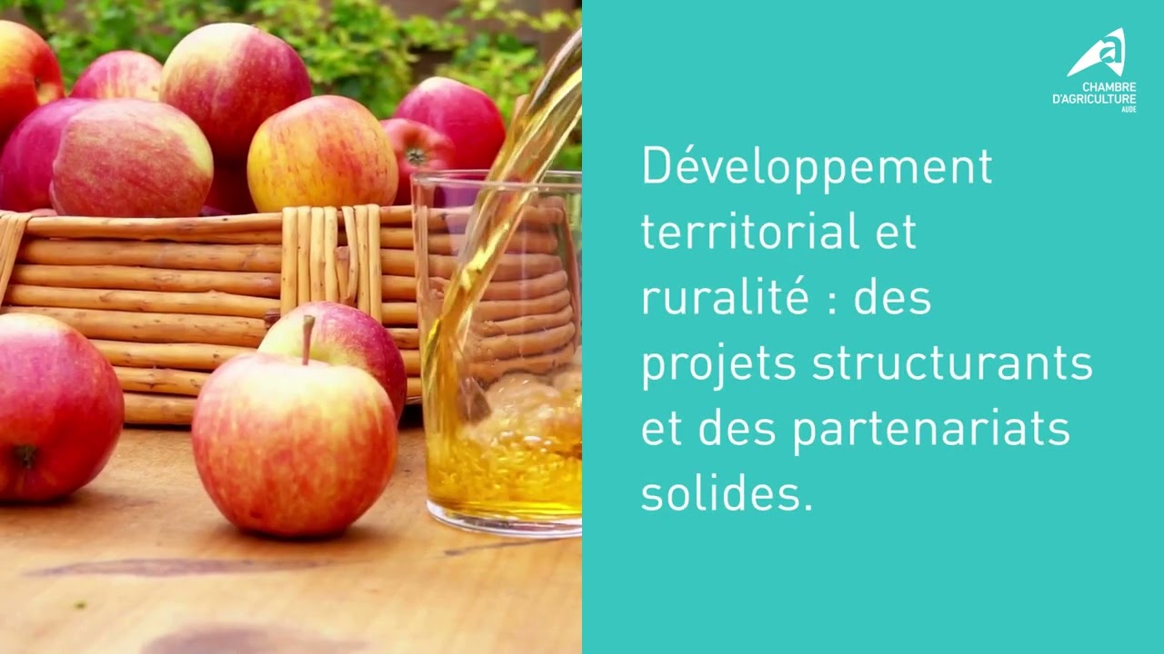 bilan de mandat 2019 2024