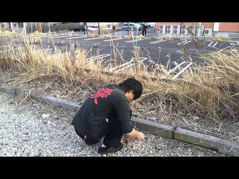 チャン・ＹＯＨ・ドラゴン　－　地球と綱引き　タイツを持って　－