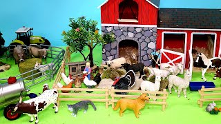 Fun Farm Diorama and Barnyard Animal Figurines