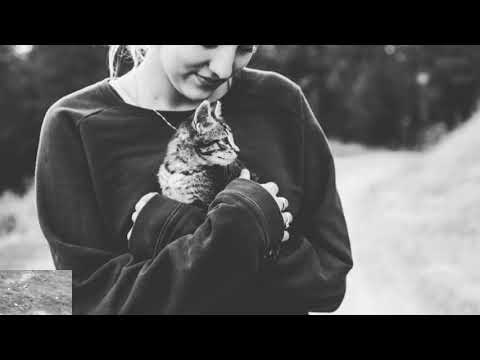 Video: Ielas Kaķu Uzņemšanas Izaicinājumi