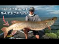 BEST MUSKY FISHING BAITS (My top 5 of 2020) Ultra clear underwater footage