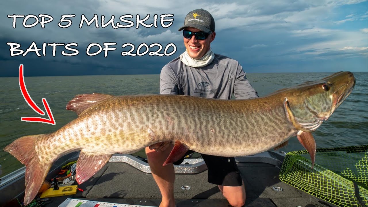 BEST MUSKY FISHING BAITS (My top 5 of 2020) Ultra clear underwater footage  