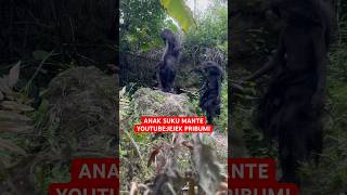 Download Lagu MENEMUKAN SUKU MANTE ASLI  DI HUTAN #sukumanteasli #sukumantecantik MP3
