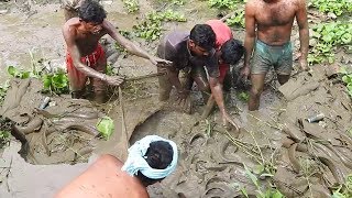 Huge Catfish Catch in Mud Canal Serial "Fishing" More Biggest Fishes / Fish Hunt Fishing Huge Catfish Catch in Mud Canal Serial "Fishing" More Biggest Fishes / Fish Hunt Fishing