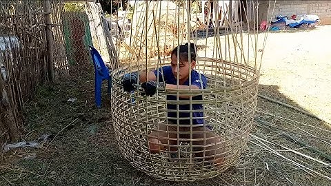 txiav xyoob hiab tawb