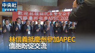 林信義：台灣國際地位提高  外交人員做先鋒