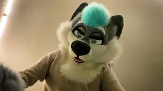 You Got Attacked By A Werewolf [Furry ASMR]
