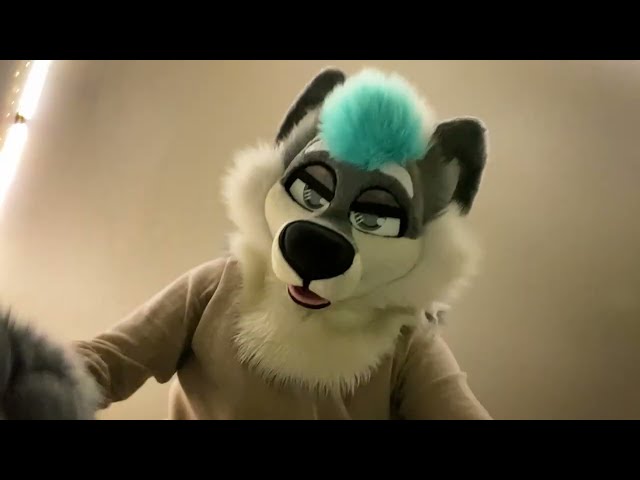 You Got Attacked By A Werewolf [Furry ASMR]