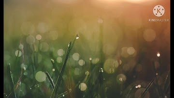 سوره الفاتحة..بصوت الشيخ اسامه..