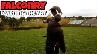 Learning Falconry